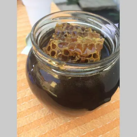 Case de vacanță ****αρχοντικό 1908**** Sklíthron